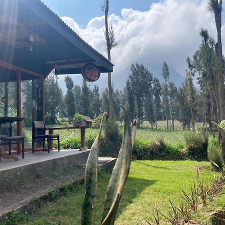 Gangga Guest House Bromo Ngadisari Kültér fotó